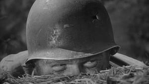 The Steel Helmet