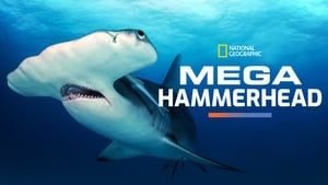 Mega Hammerhead