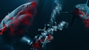 47 Meters Down