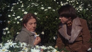 Harold and Maude