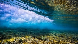 Great Barrier Reef with David Attenborough