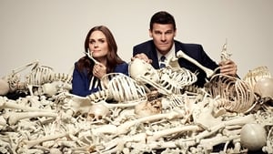 Bones