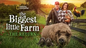 The Biggest Little Farm: The Return