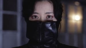 Lady Vengeance