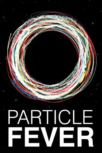 Particle Fever 2013