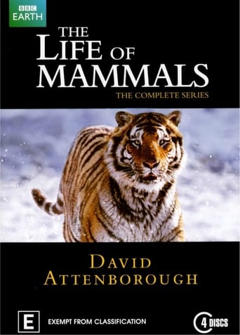 دانلود سریال The Life of Mammals 2002