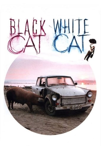 Black Cat, White Cat 1998