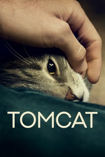 Tomcat 2016