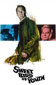 Sweet Bird of Youth 1962