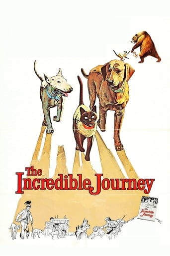 The Incredible Journey 1963